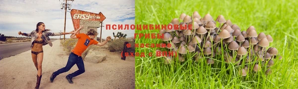 а пвп мука Алзамай