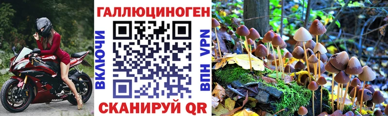 Галлюциногенные грибы Psilocybine cubensis  Слободской 