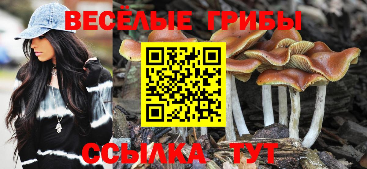 Псилоцибиновые грибы мухоморы Слободской
