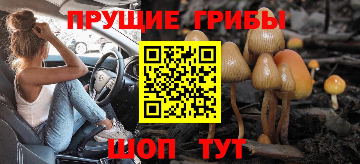 Слободской  Галлюциногенные грибы мицелий  Вход с VPN 